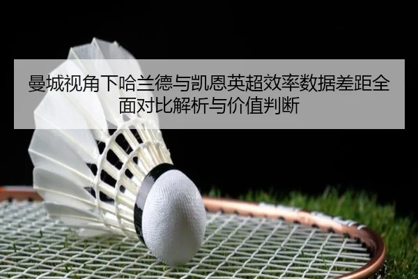 曼城视角下哈兰德与凯恩英超效率数据差距全面对比解析与价值判断